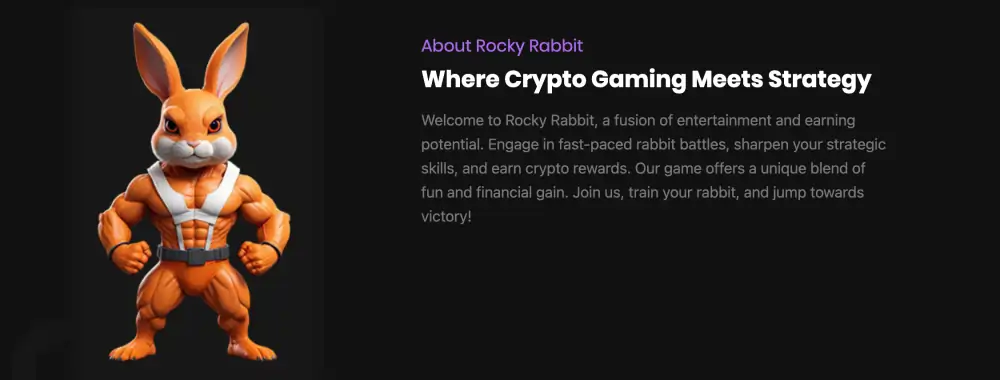 rockyrabbit