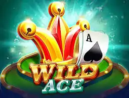 wildace slot wild ace wildace 